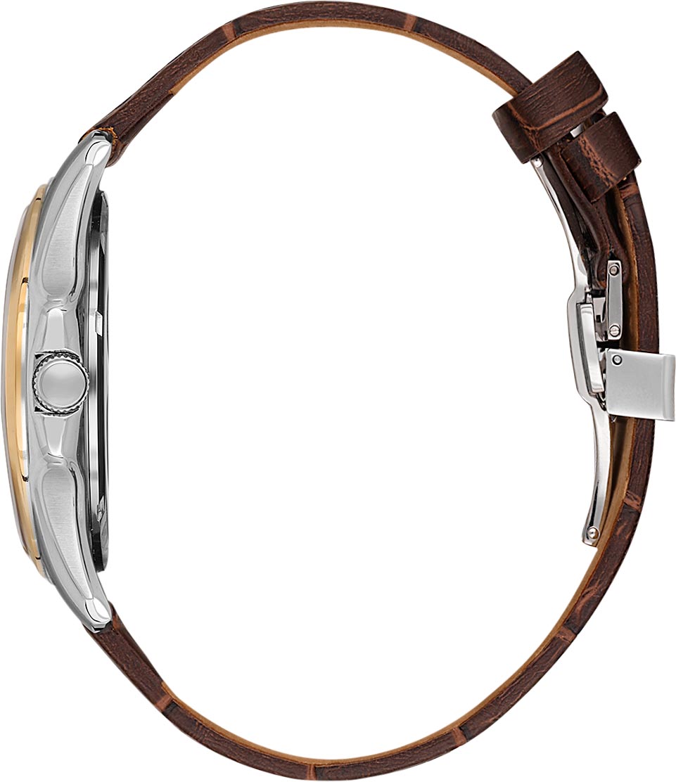 Polo Analogue