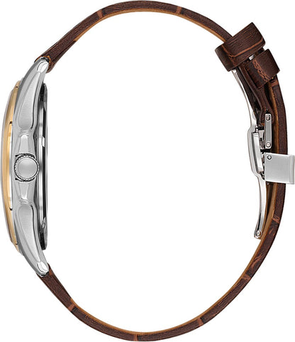 Polo Analogue